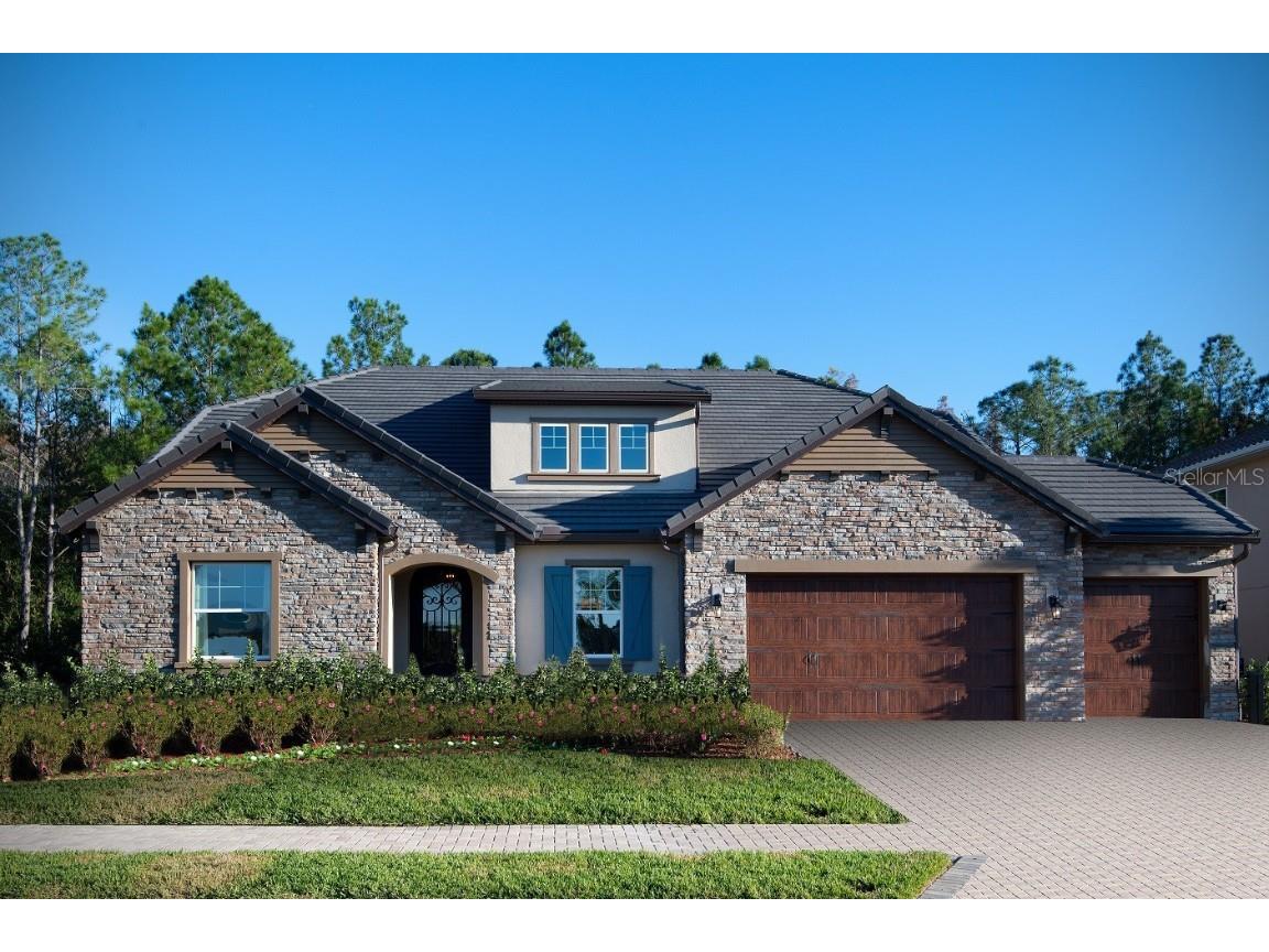 17810 Daisy Farm Drive Lutz FL 33559 T3447248 image1