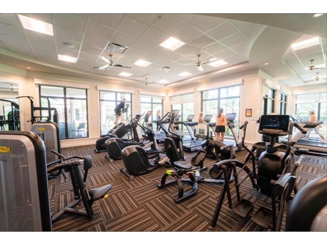 17810 Gawthrop Drive #305 Bradenton FL 34211 A4666013 image47