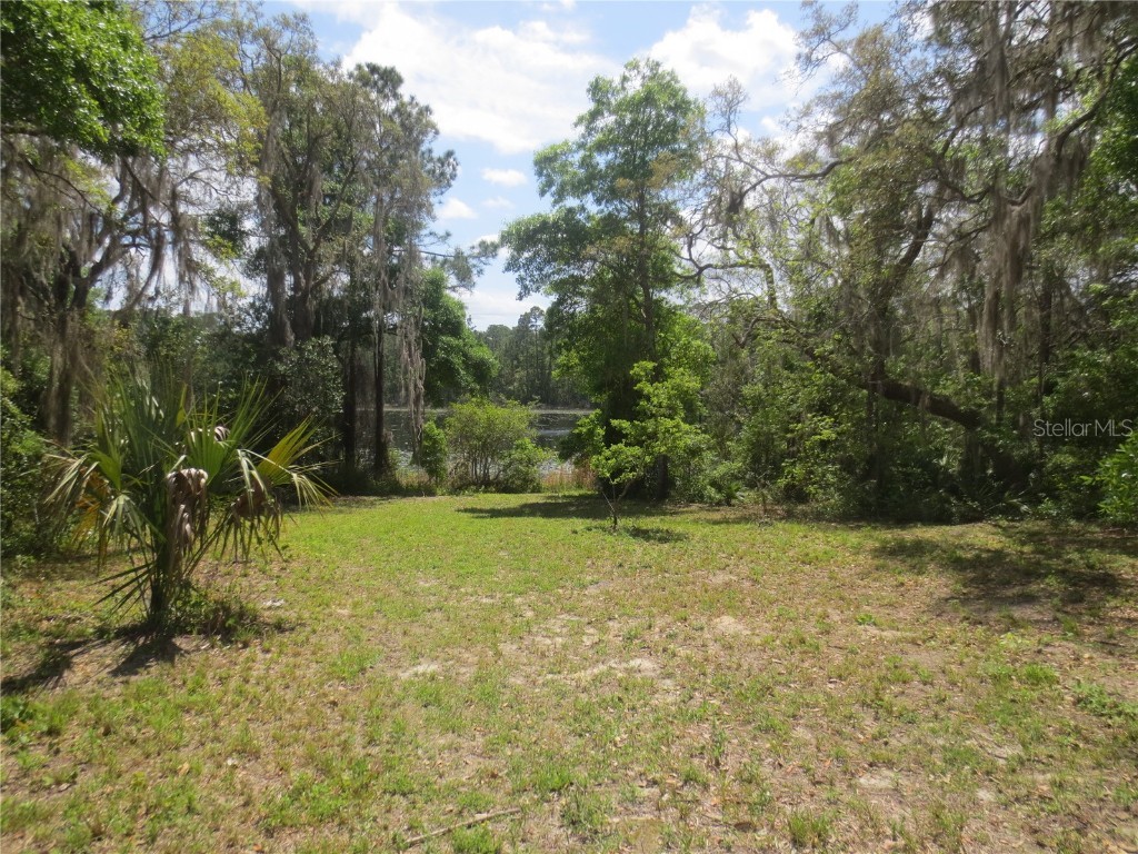 17810 SE 12th Lane Silver Springs FL 34488 - Virginia Lake OM675414 image1