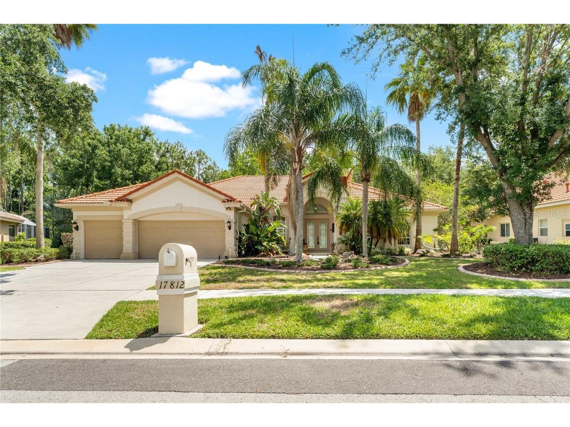 17812 Arbor Greene Drive Tampa FL 33647 TB8378763 image1