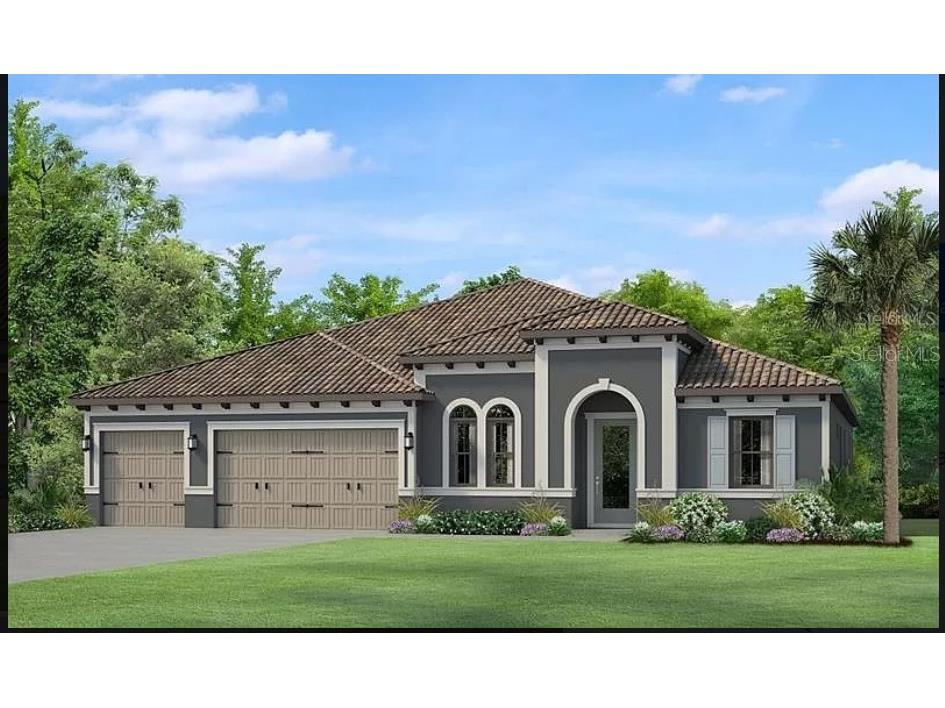 17812 Daisy Farm Drive Lutz FL 33559 J967617 image1