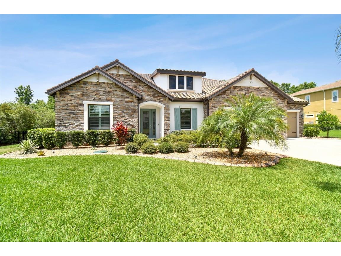 17812 Newcastle Field Drive Lutz FL 33559 T3531418 image1