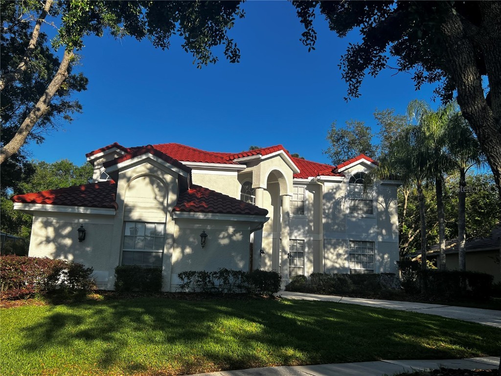 17813 Hickory Moss Place Tampa FL 33647 T3519167 image1