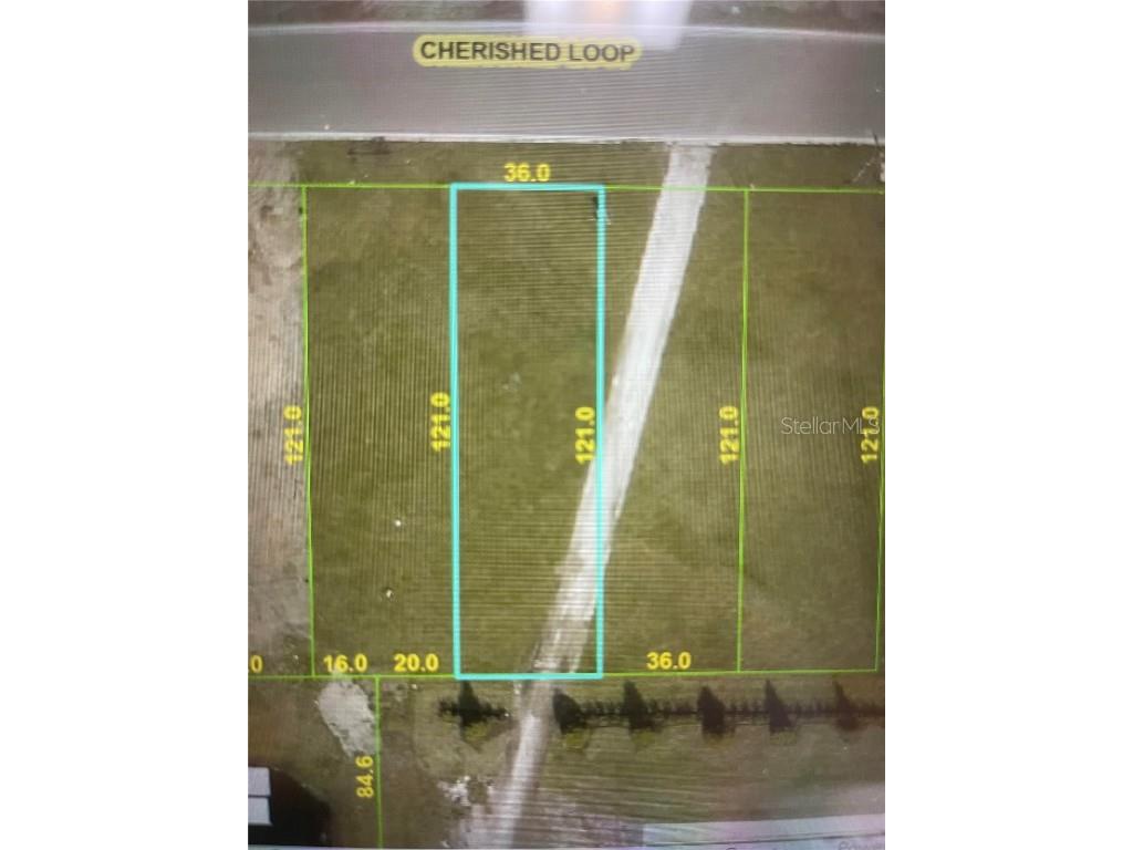 17815 Cherished Loop Bradenton FL 34211 J974552 image1