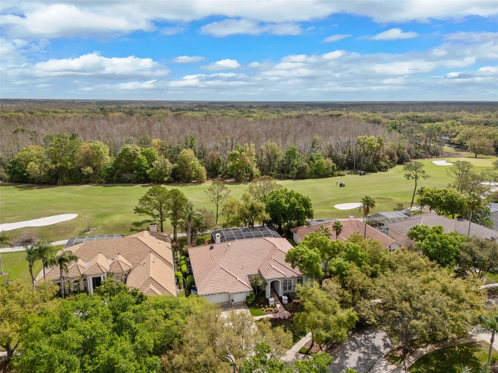17815 Osprey Pointe Place Tampa FL 33647 GC538188 image2