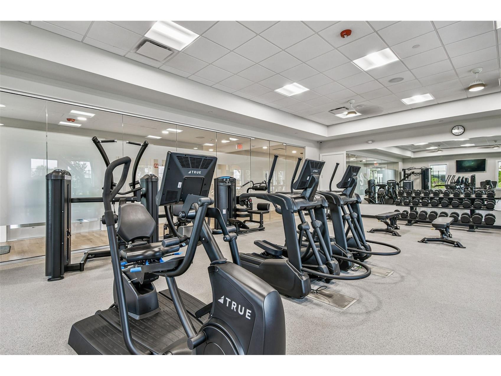 17817 Pastureland Avenue Lakewood Ranch FL 34211 A4689605 image44