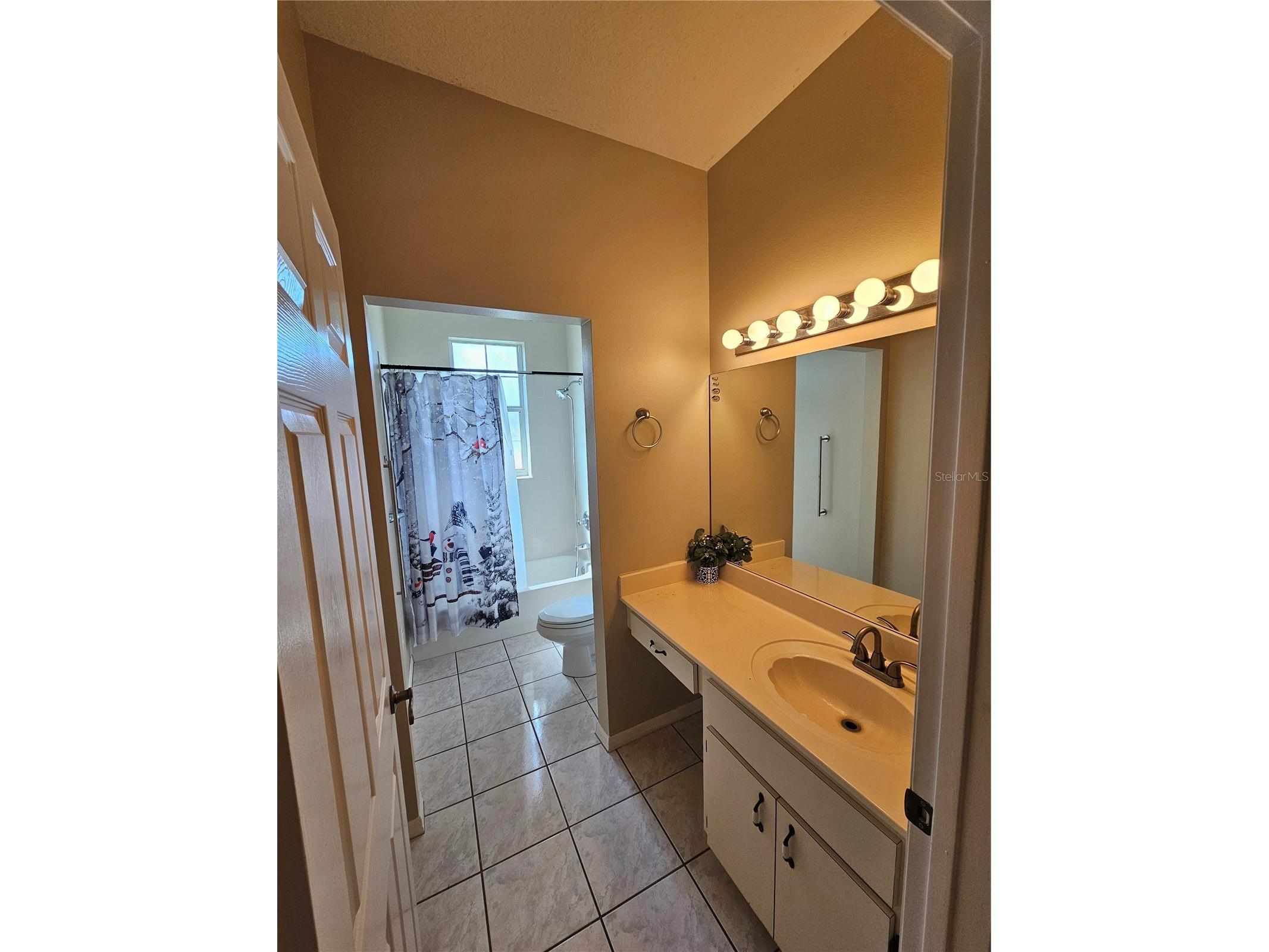 17817 SE 115th Court Summerfield FL 34491 OM723009 image13