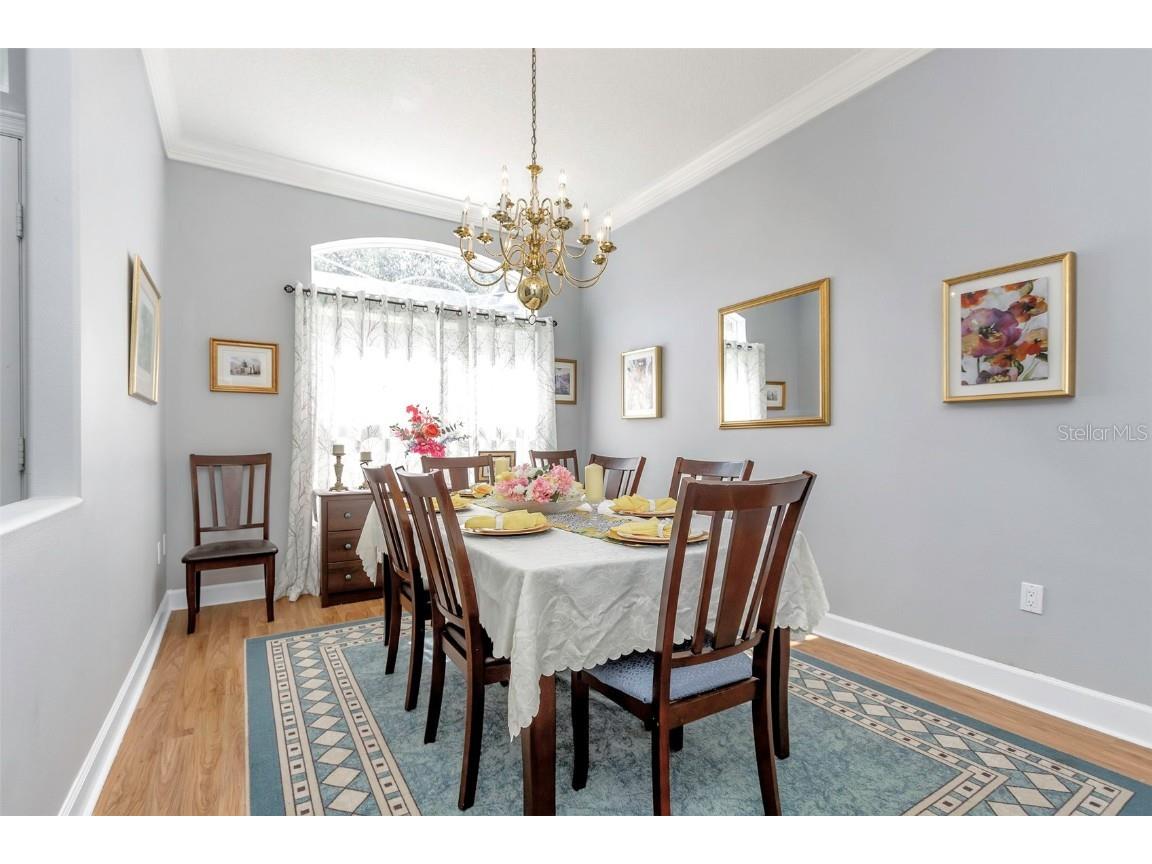 17818 Hickory Moss Place Tampa FL 33647 TB8416429 image14