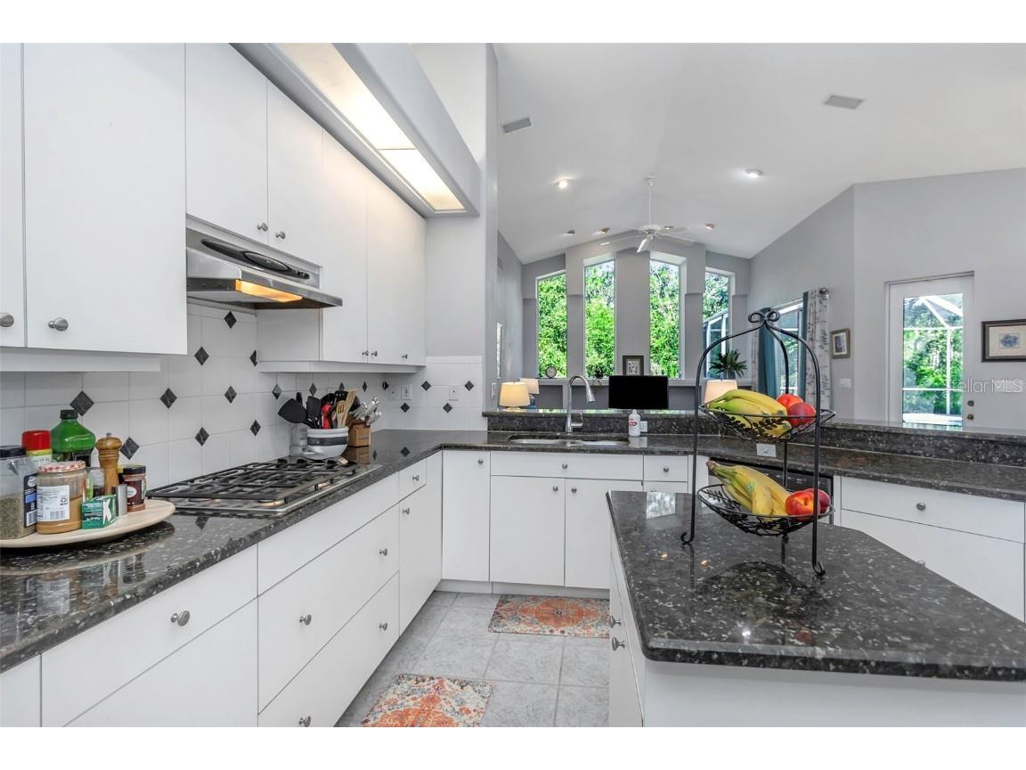 17818 Hickory Moss Place Tampa FL 33647 TB8416429 image26