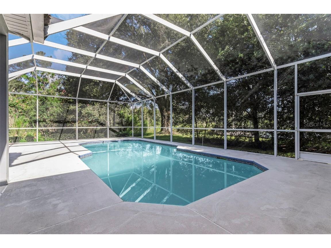 17818 Hickory Moss Place Tampa FL 33647 TB8416429 image31