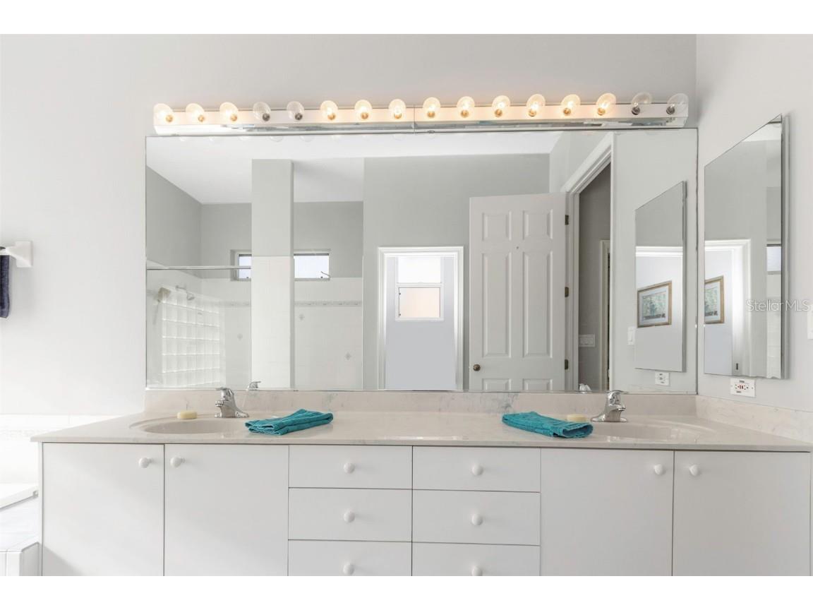 17818 Hickory Moss Place Tampa FL 33647 TB8416429 image45