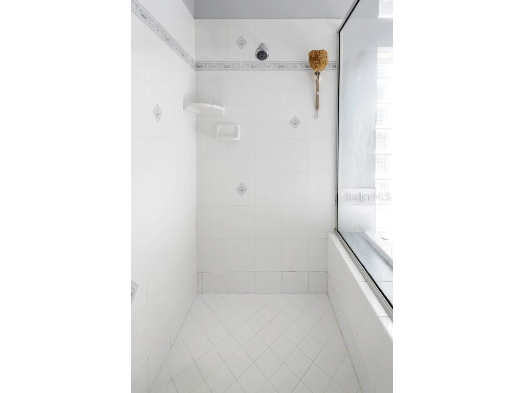 17818 Hickory Moss Place Tampa FL 33647 TB8416429 image46