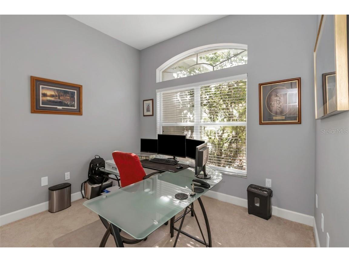 17818 Hickory Moss Place Tampa FL 33647 TB8416429 image49