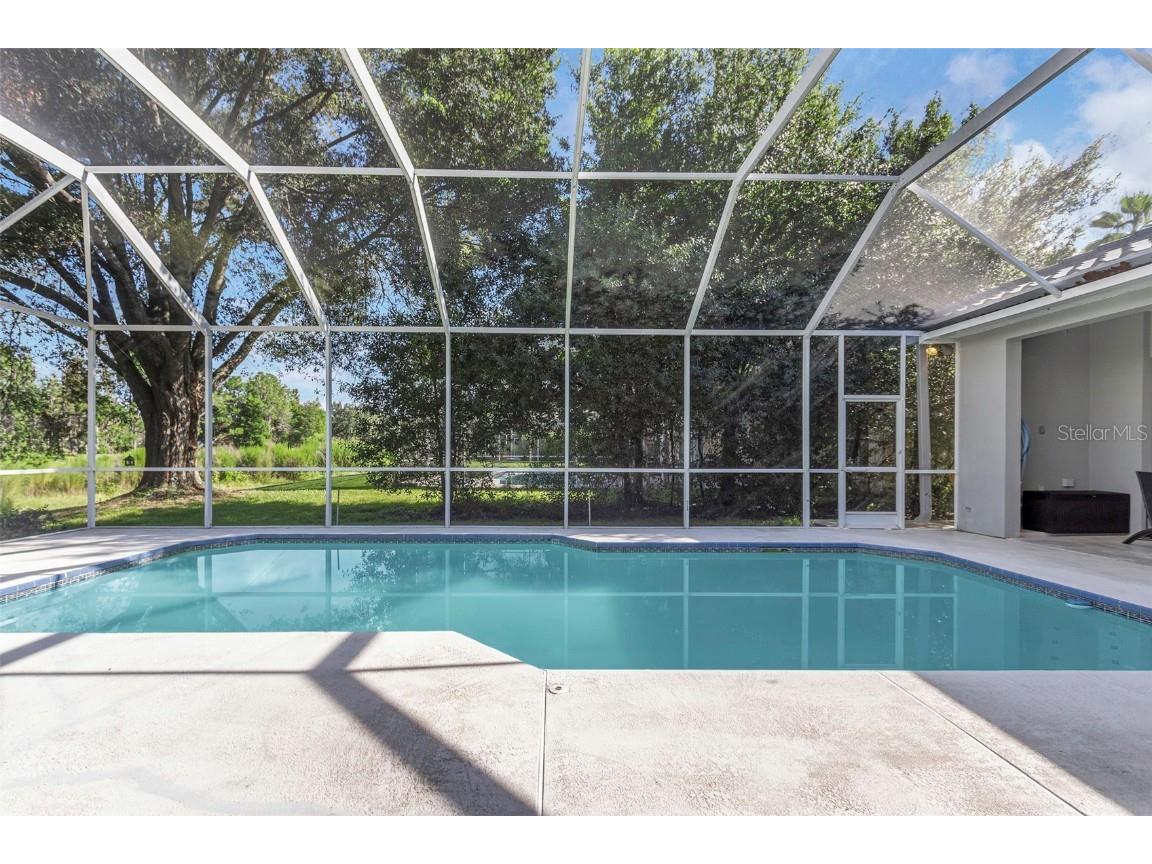 17818 Hickory Moss Place Tampa FL 33647 TB8416429 image53