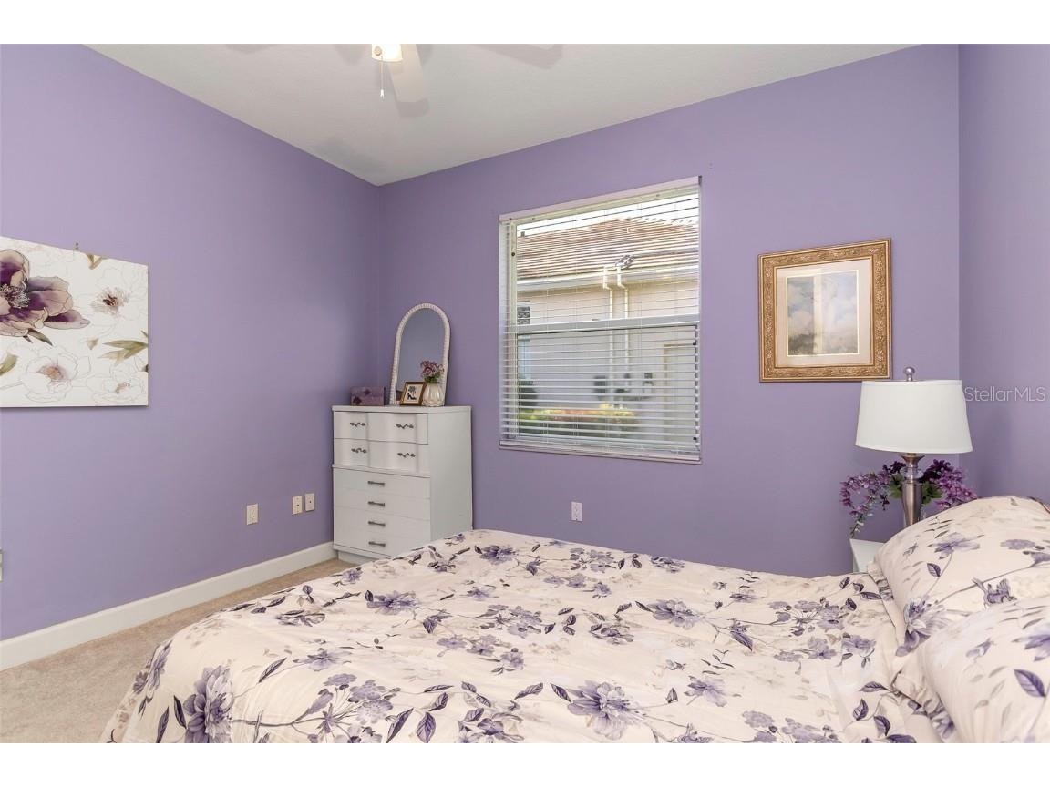 17818 Hickory Moss Place Tampa FL 33647 TB8416429 image68