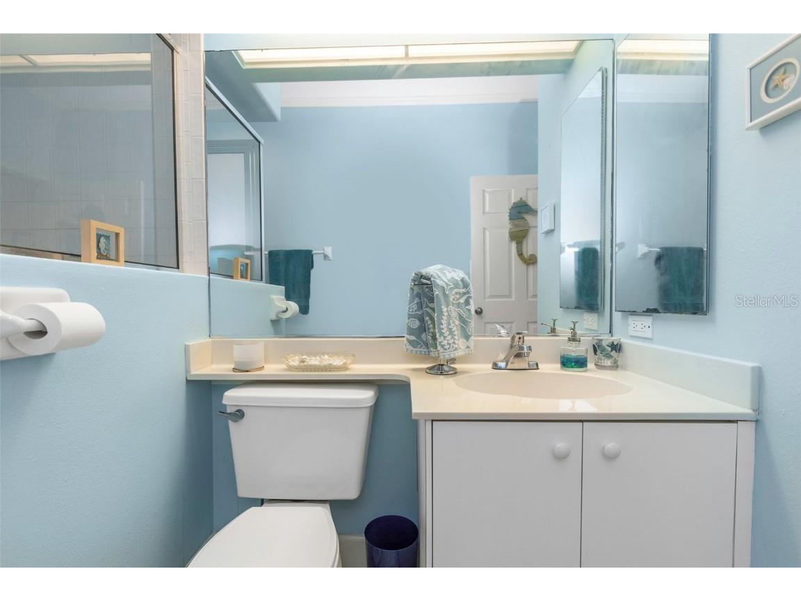 17818 Hickory Moss Place Tampa FL 33647 TB8416429 image75