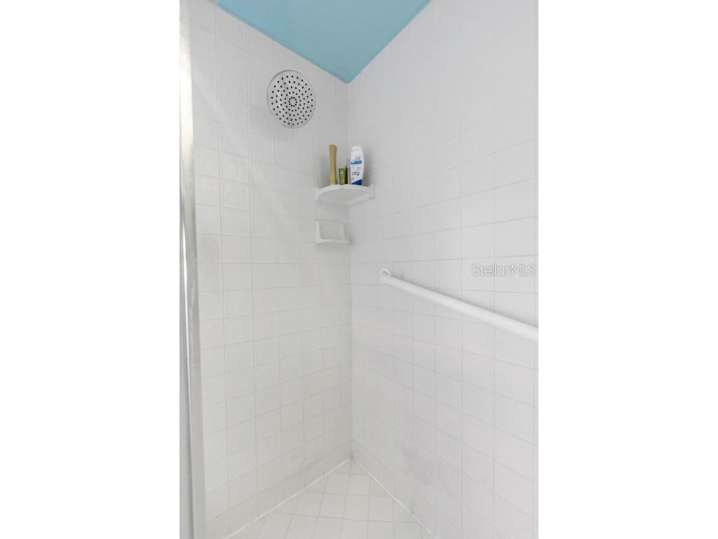 17818 Hickory Moss Place Tampa FL 33647 TB8416429 image76