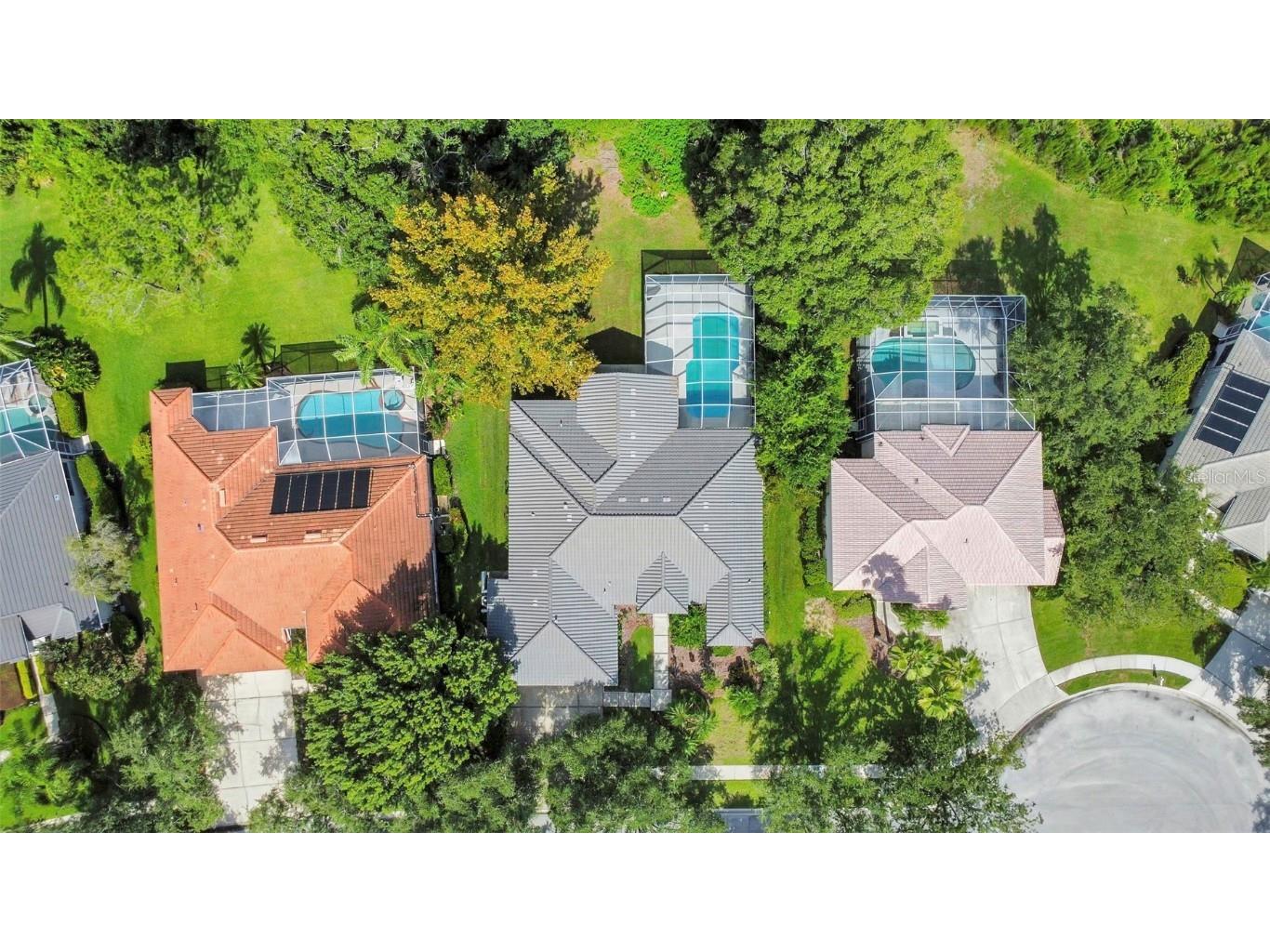 17818 Hickory Moss Place Tampa FL 33647 TB8416429 image93