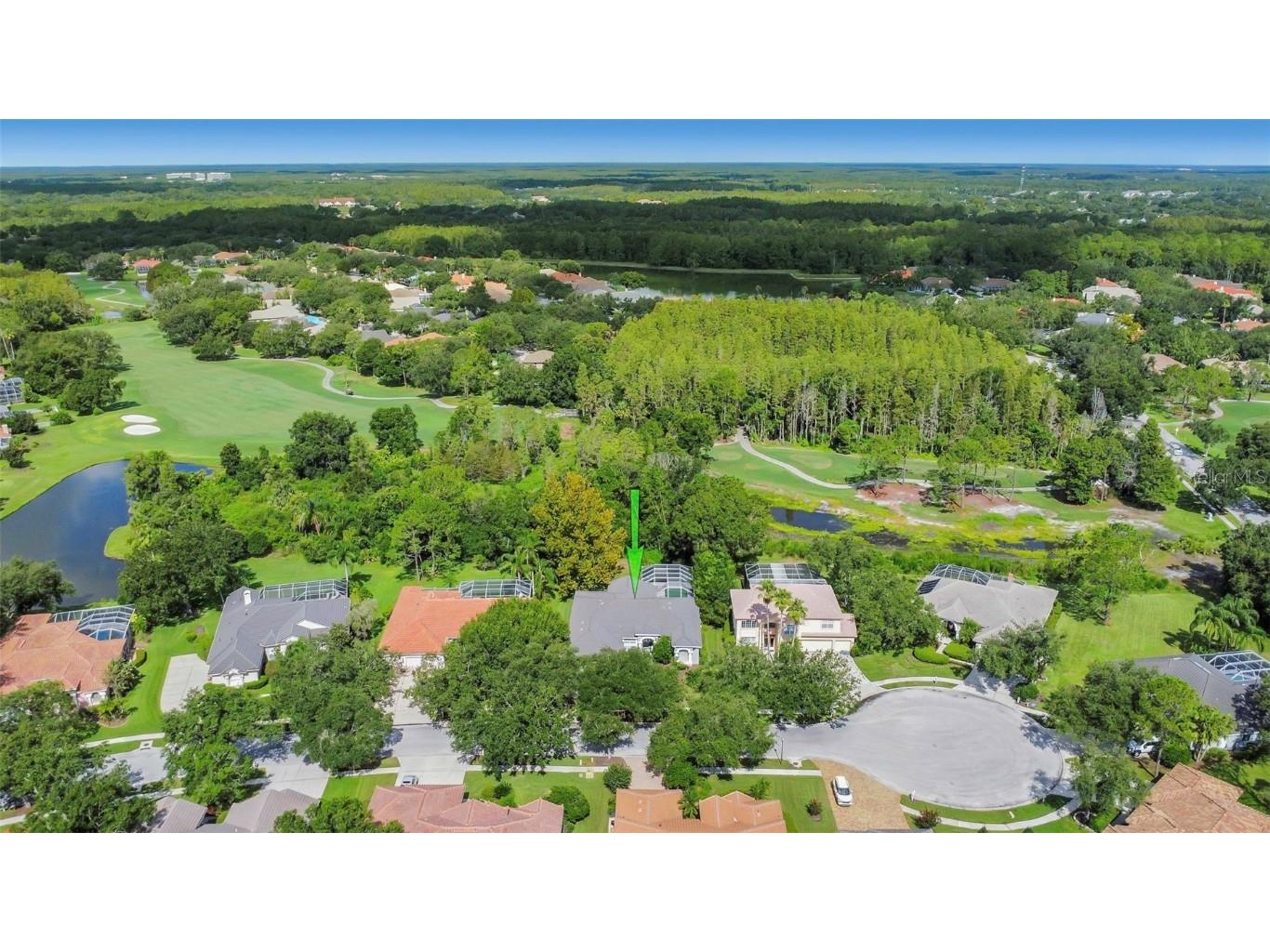 17818 Hickory Moss Place Tampa FL 33647 TB8416429 image95