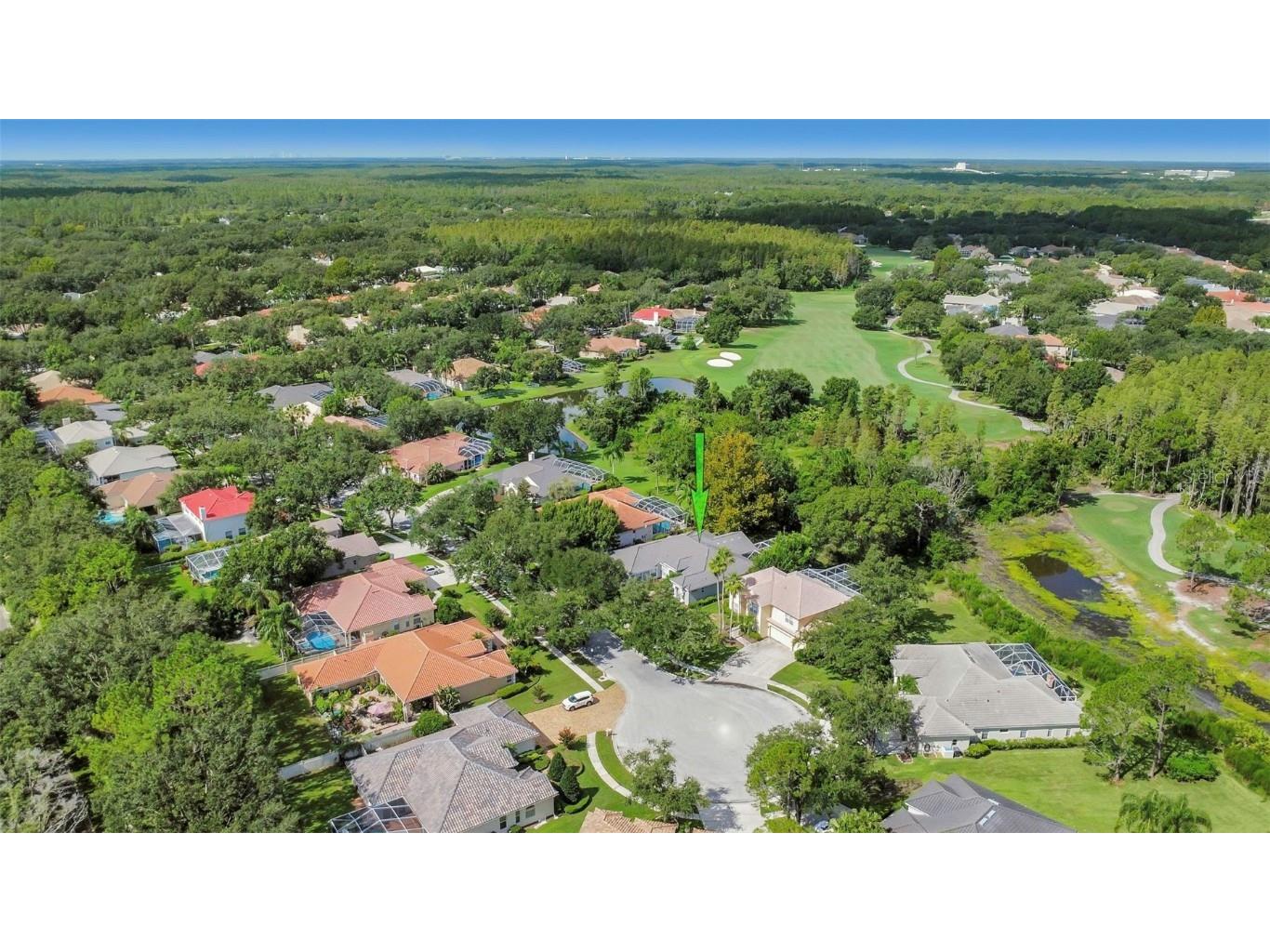 17818 Hickory Moss Place Tampa FL 33647 TB8416429 image96