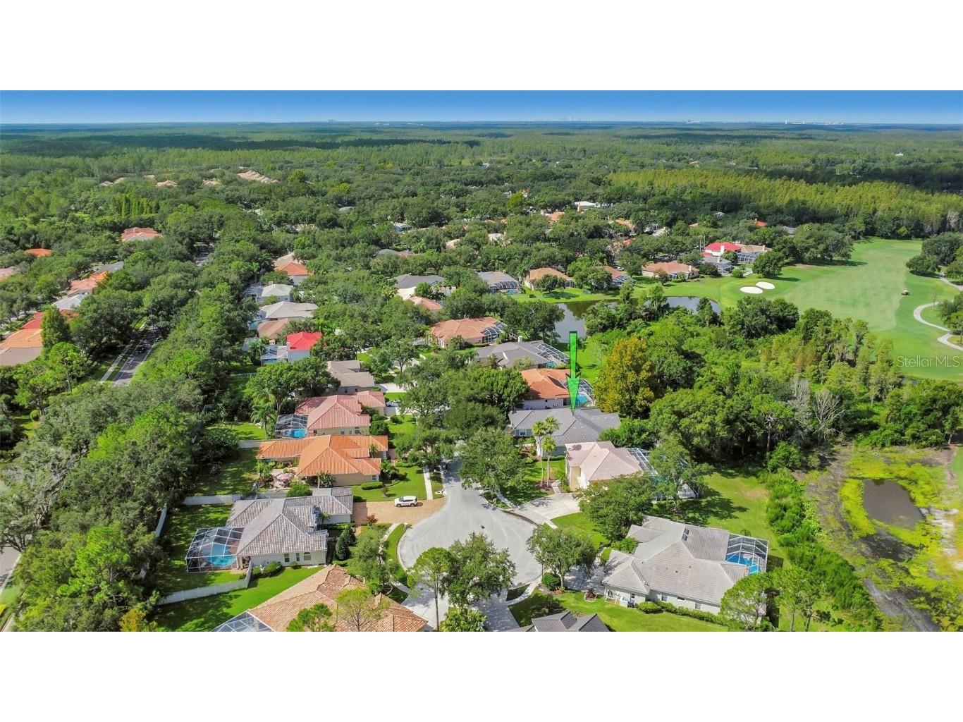 17818 Hickory Moss Place Tampa FL 33647 TB8416429 image97