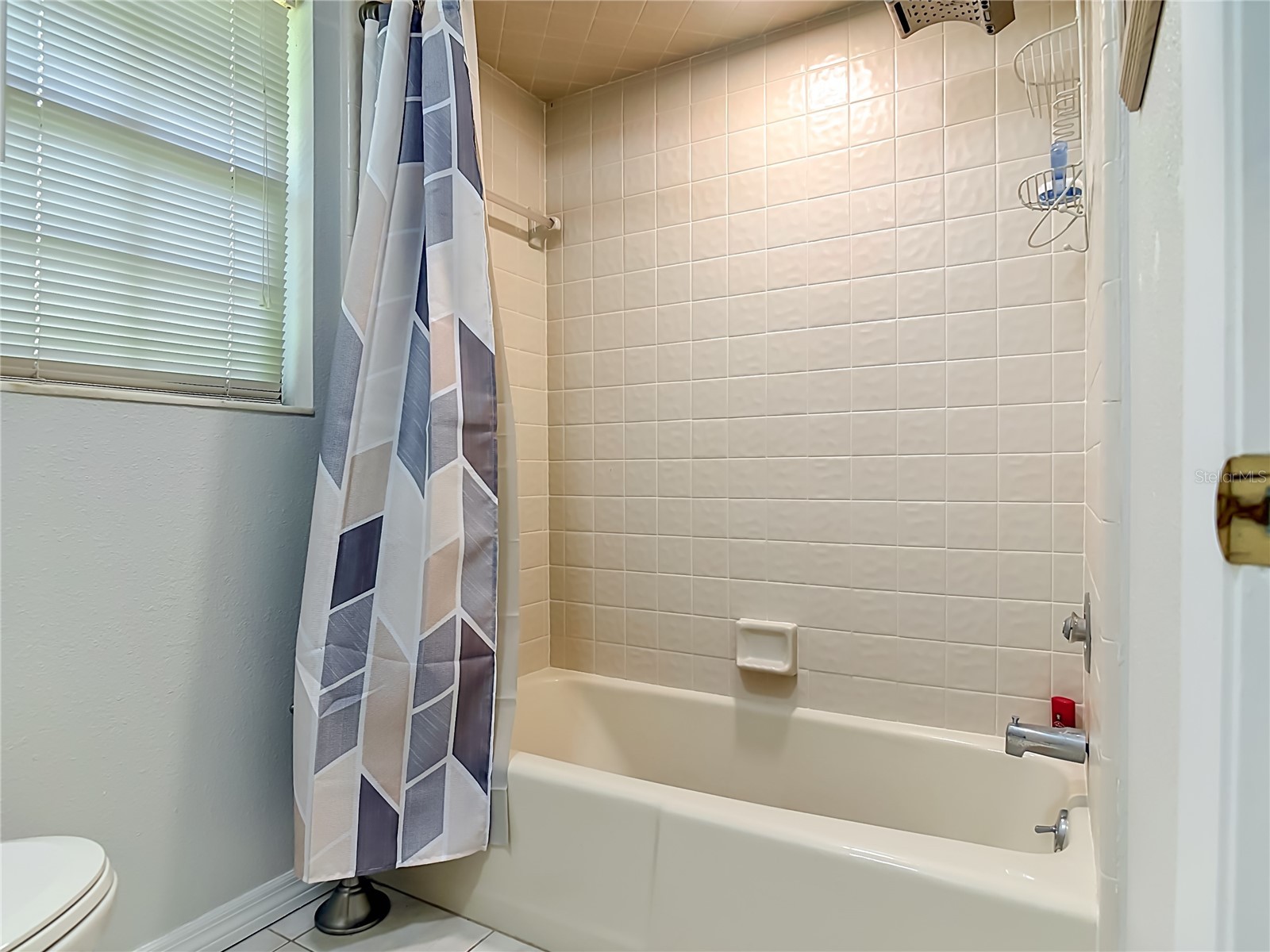 17819 Palm Street Umatilla FL 32784 - South Twin Lake O6402607 image26