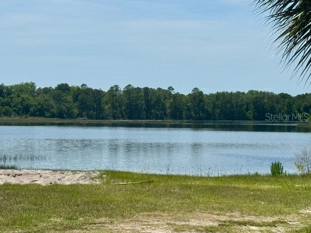 17819 Palm Street Umatilla FL 32784 - South Twin Lake O6402607 image45