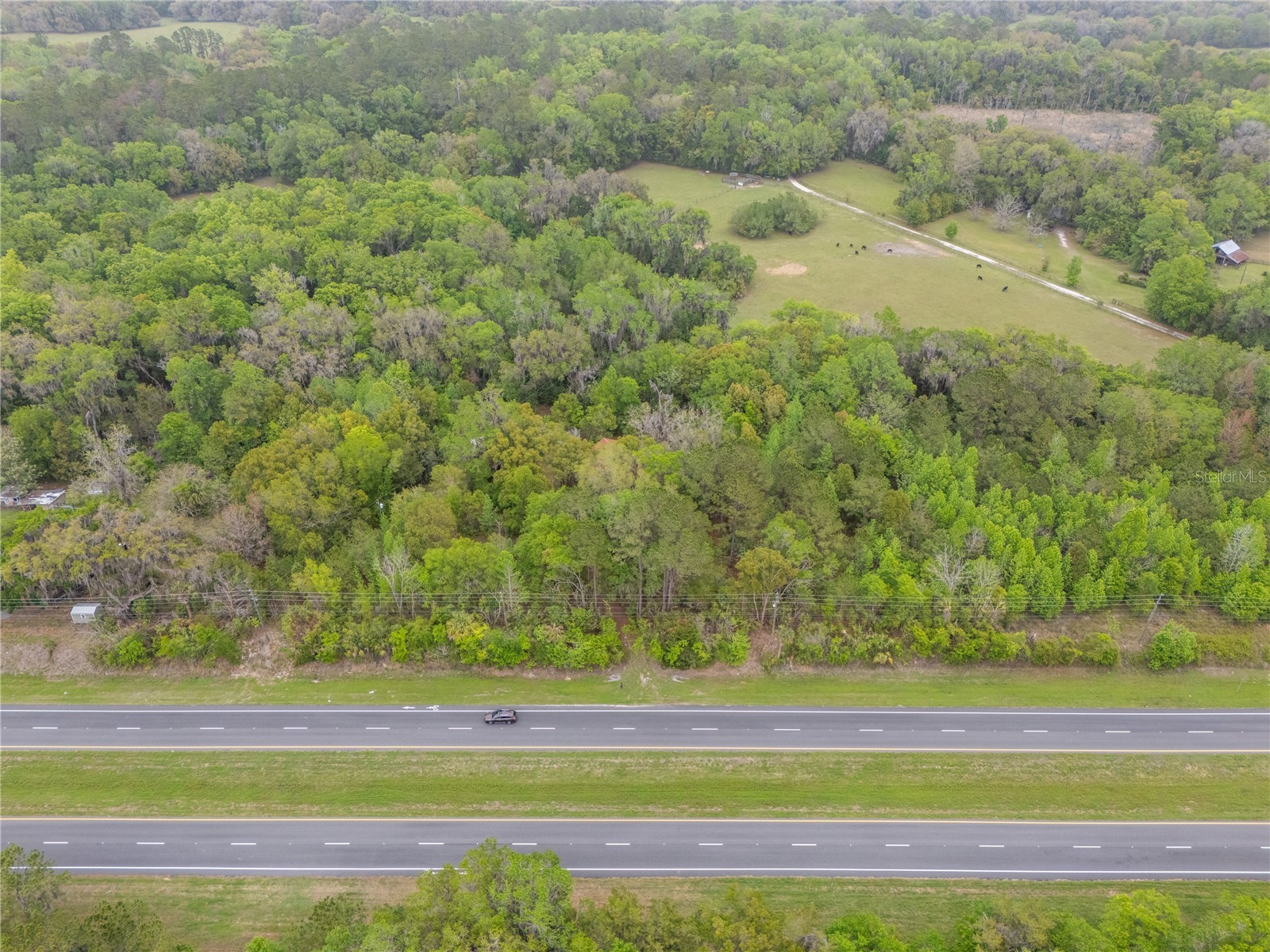 17819 Sr-25 Micanopy FL 32667 O6406090 image2
