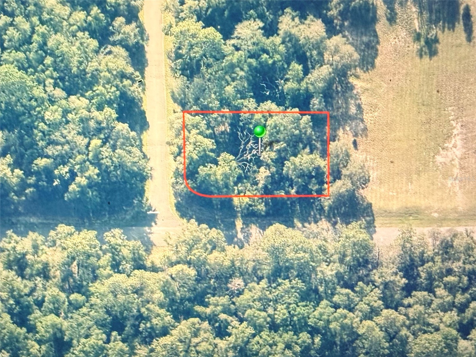 1782 E Utah Lane Dunnellon FL 34434 OM718189 image1