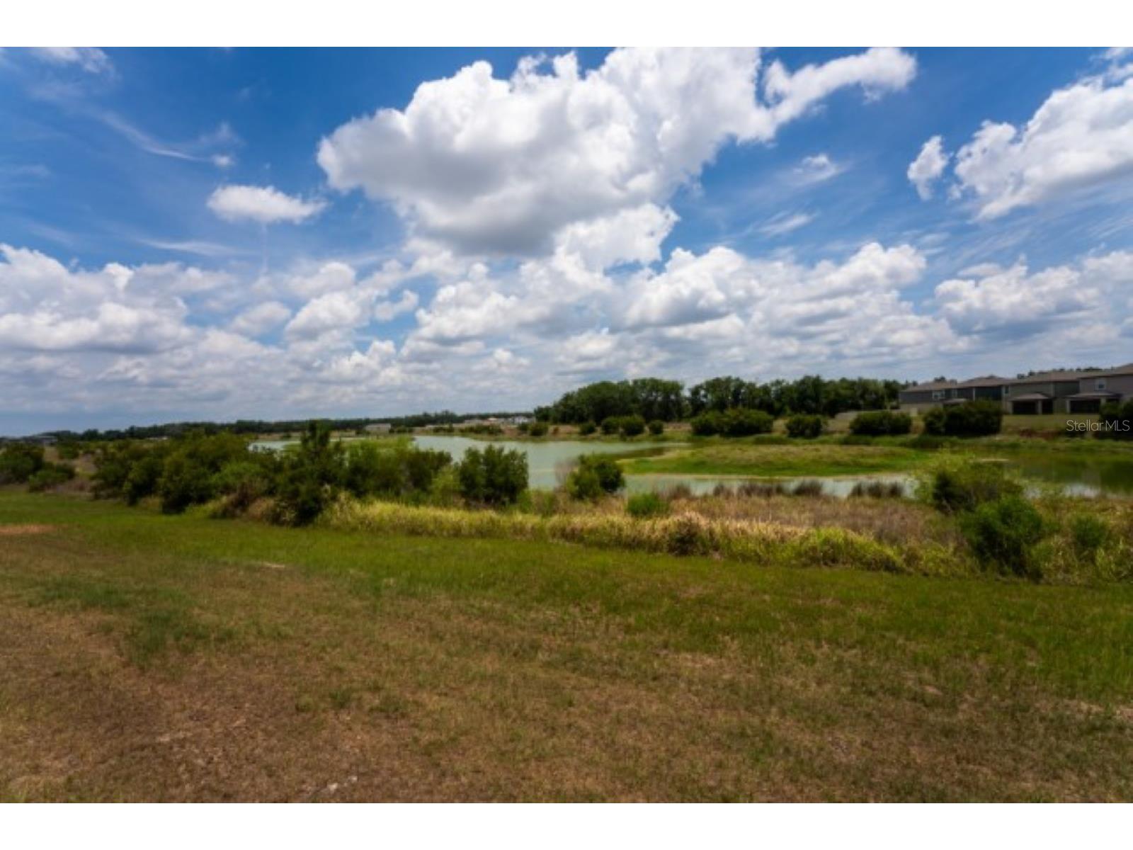 1782 Lanier Road Zephyrhills FL 33541 TB8508423 image28