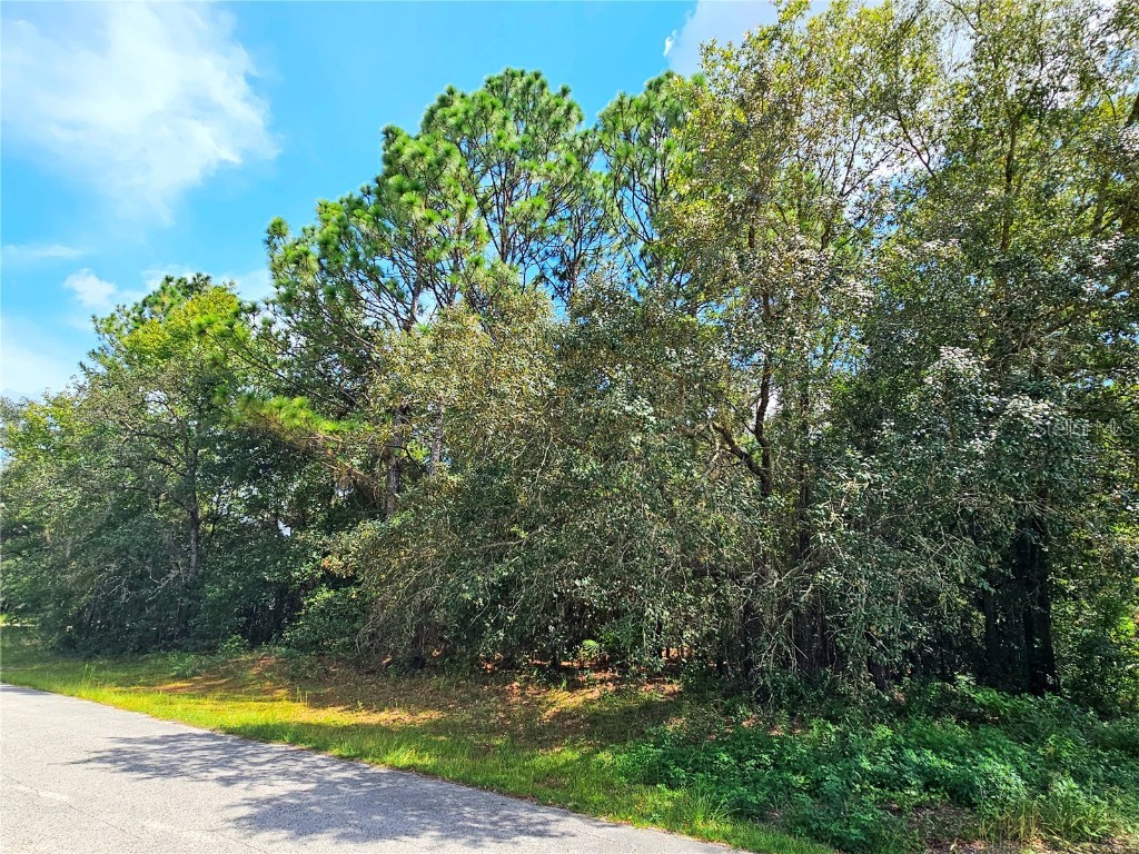 1782 W Mesa Verde Drive Beverly Hills FL 34465 O6135880 image1