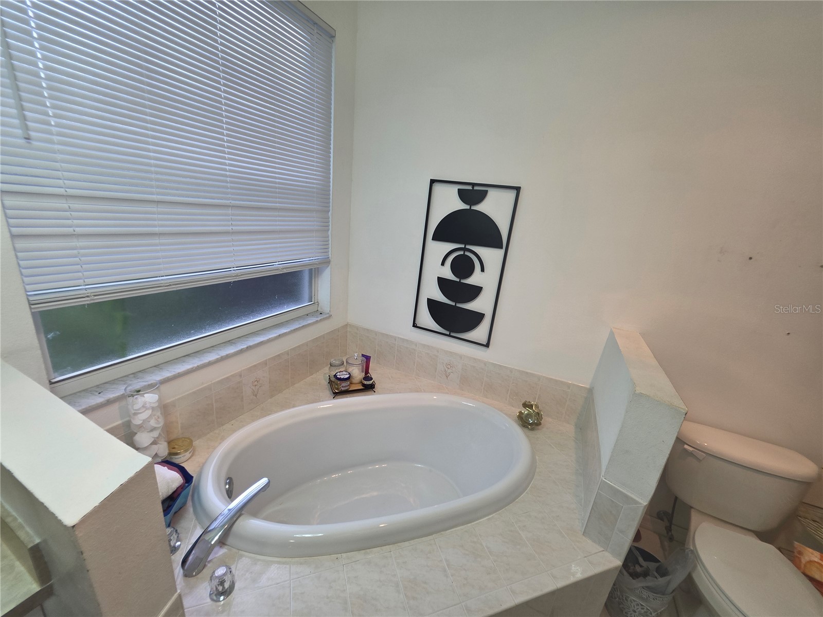 17820 Monteverde Drive Spring Hill FL 34610 TB8513469 image33