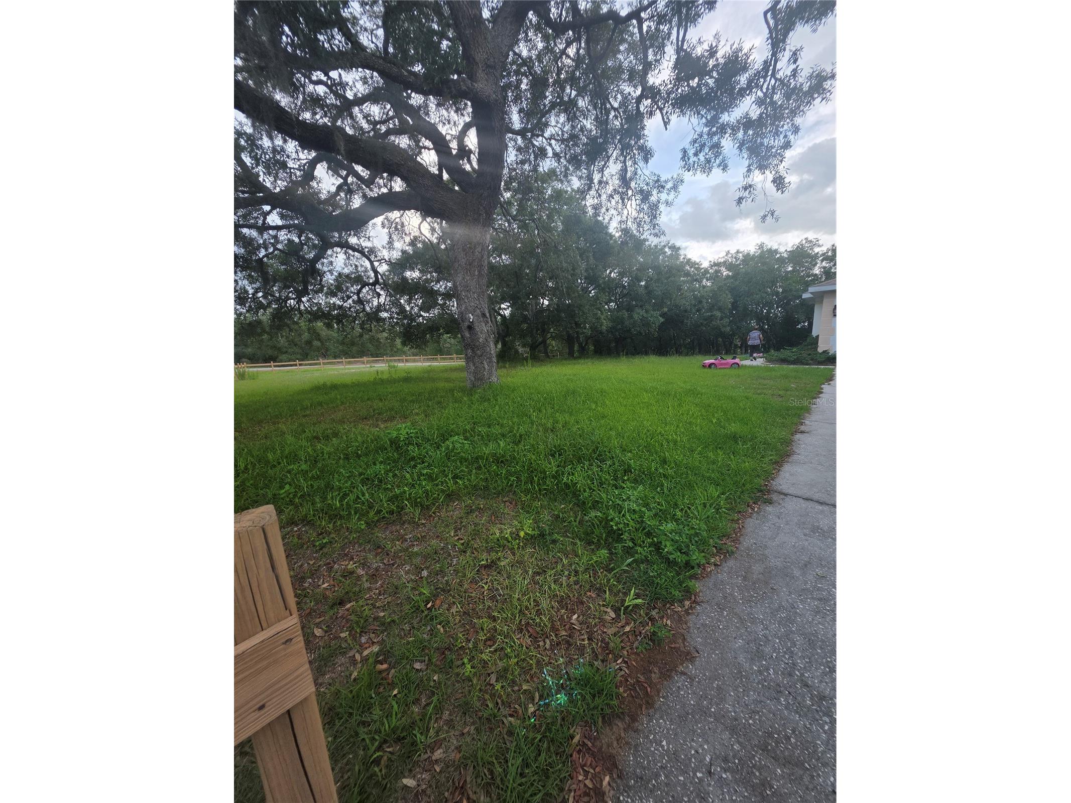 17820 Monteverde Drive Spring Hill FL 34610 TB8513469 image9
