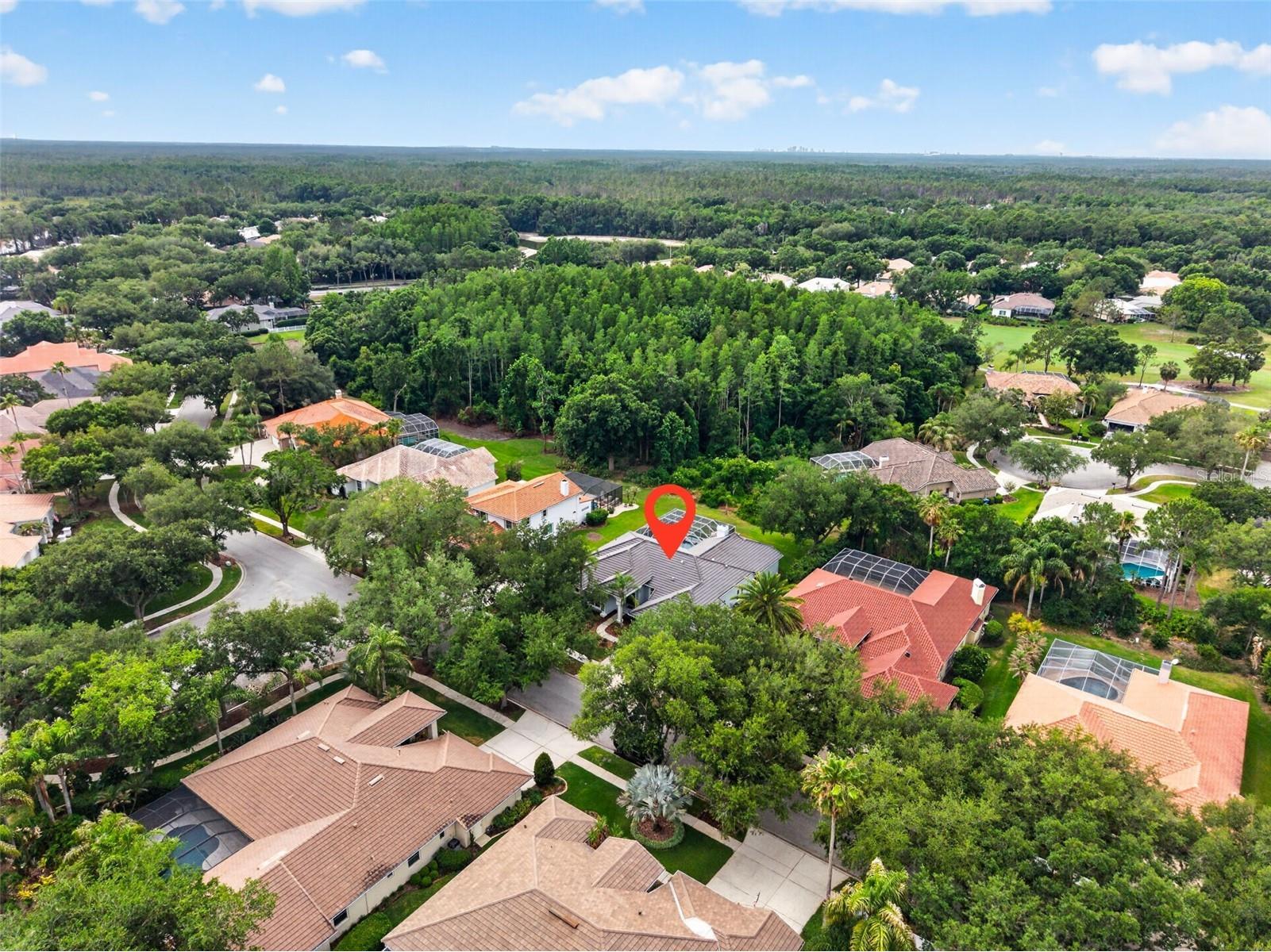 17820 Osprey Pointe Place Tampa FL 33647 TB8508675 image48