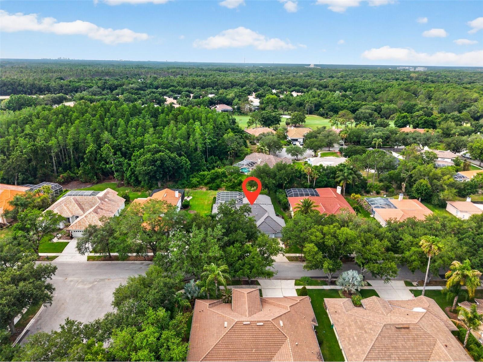 17820 Osprey Pointe Place Tampa FL 33647 TB8508675 image49