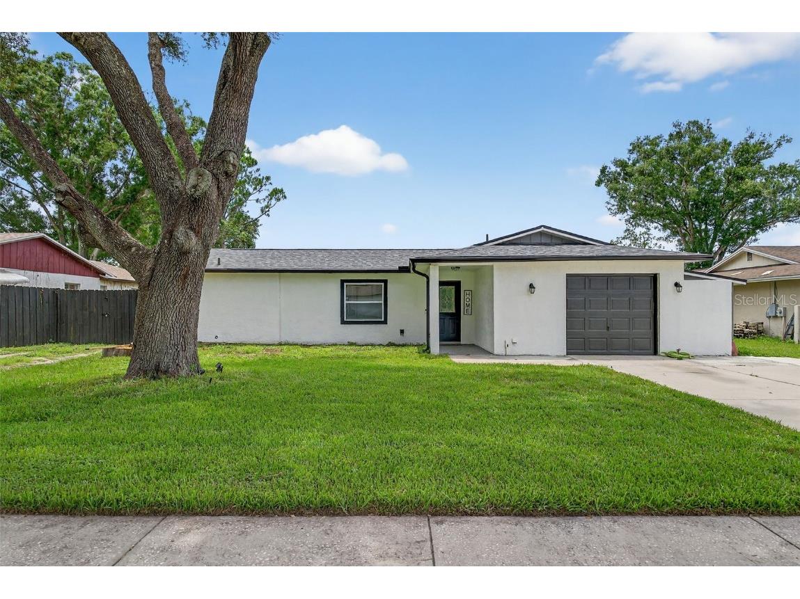 17821 Morninghigh Drive Lutz FL 33549 TB8450056 image1