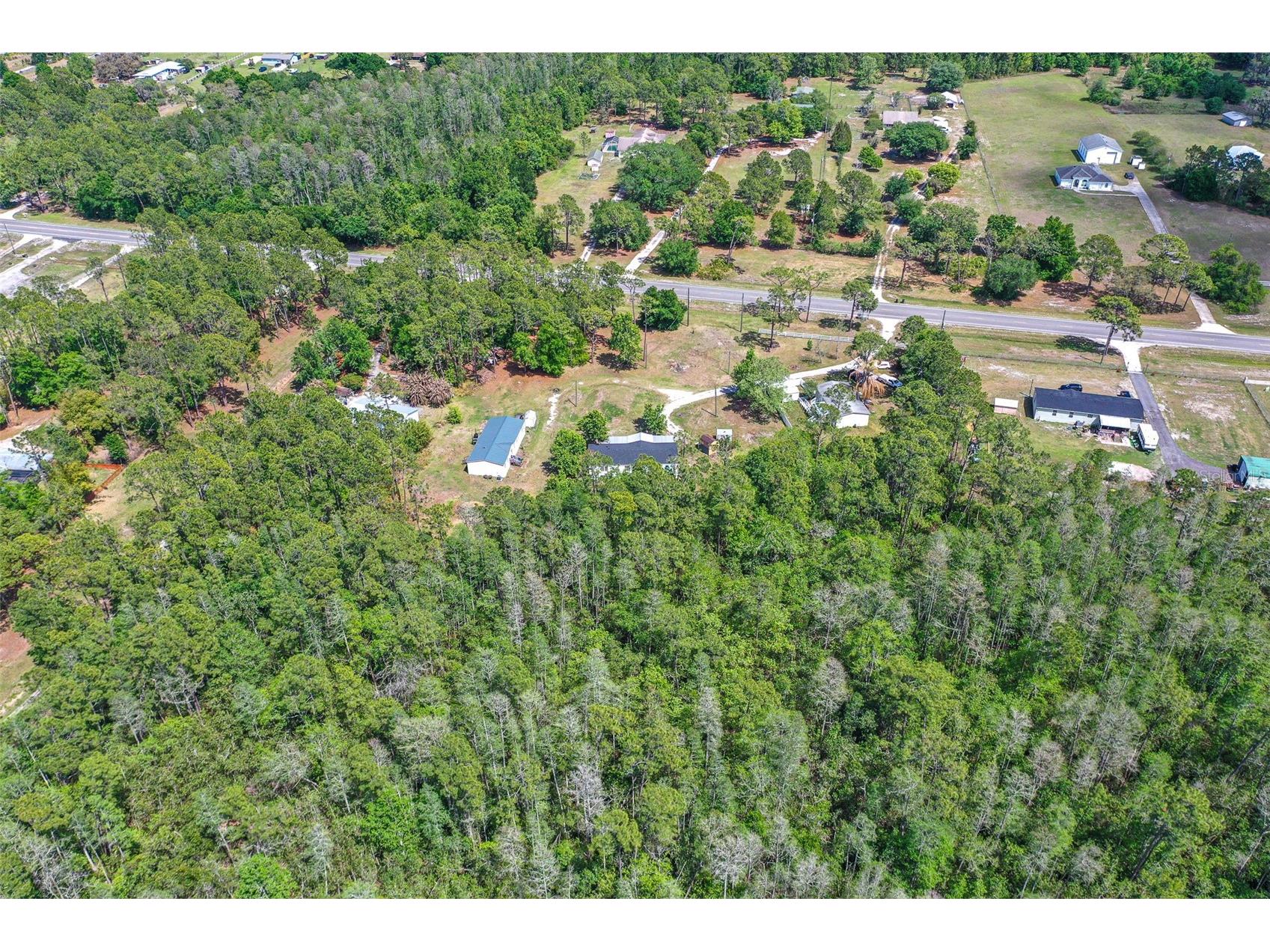 17822 Commonwealth Avenue N Polk City FL 33868 P4936978 image13