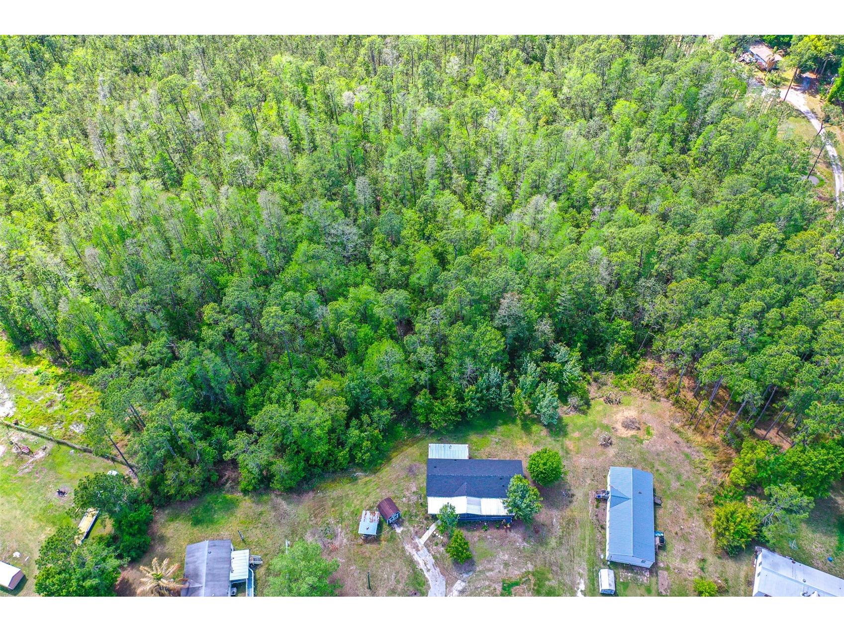 17822 Commonwealth Avenue N Polk City FL 33868 P4936978 image9