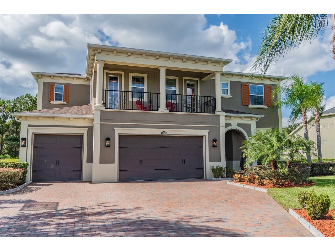 17822 Daisy Farm Drive Lutz FL 33559 T3342522 image1