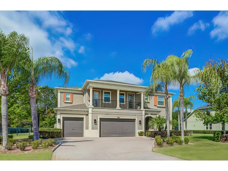 17822 Daisy Farm Drive Lutz FL 33559 T3436796 image1