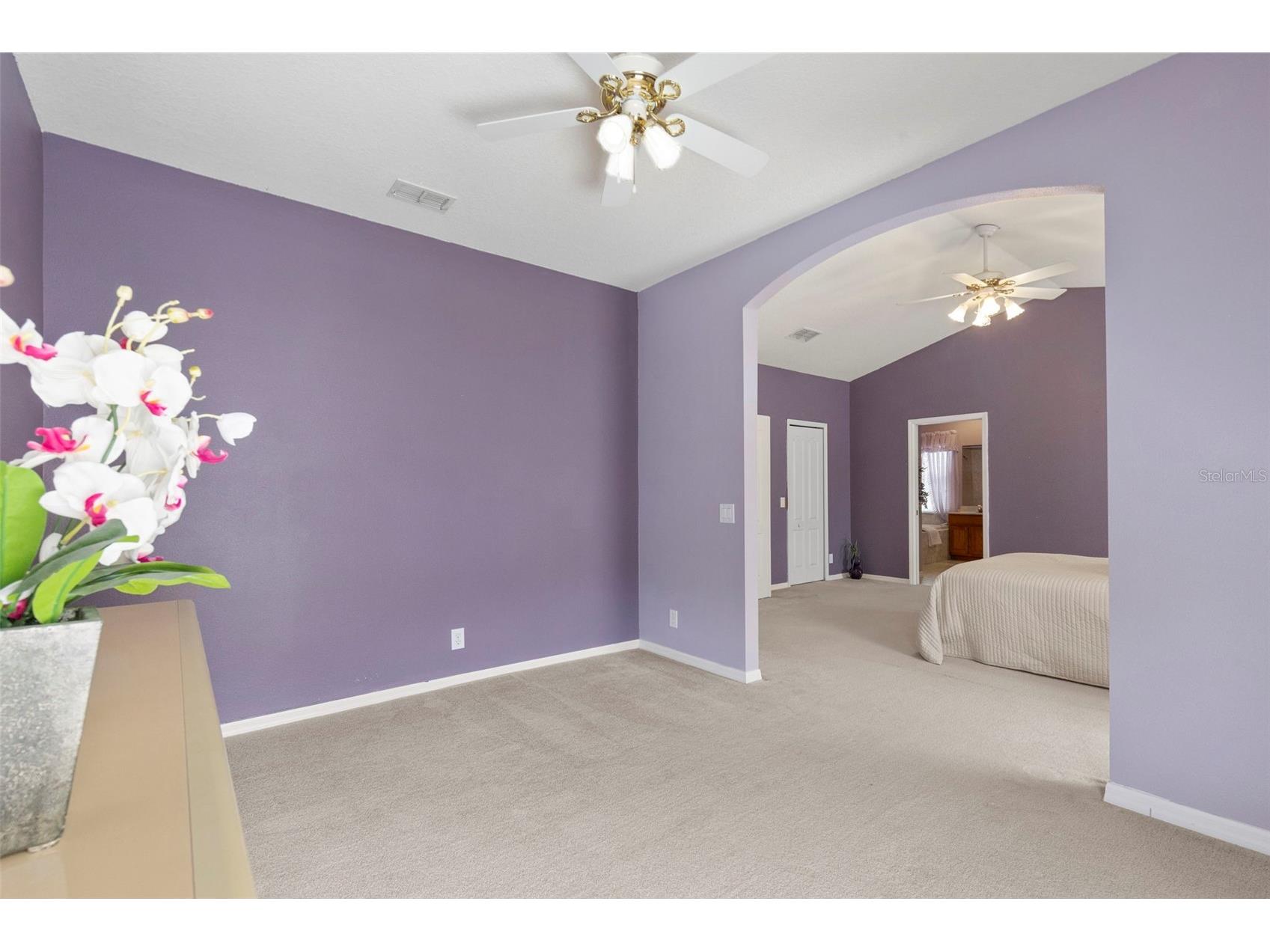 17823 Arbor Creek Drive Tampa FL 33647 TB8516964 image33