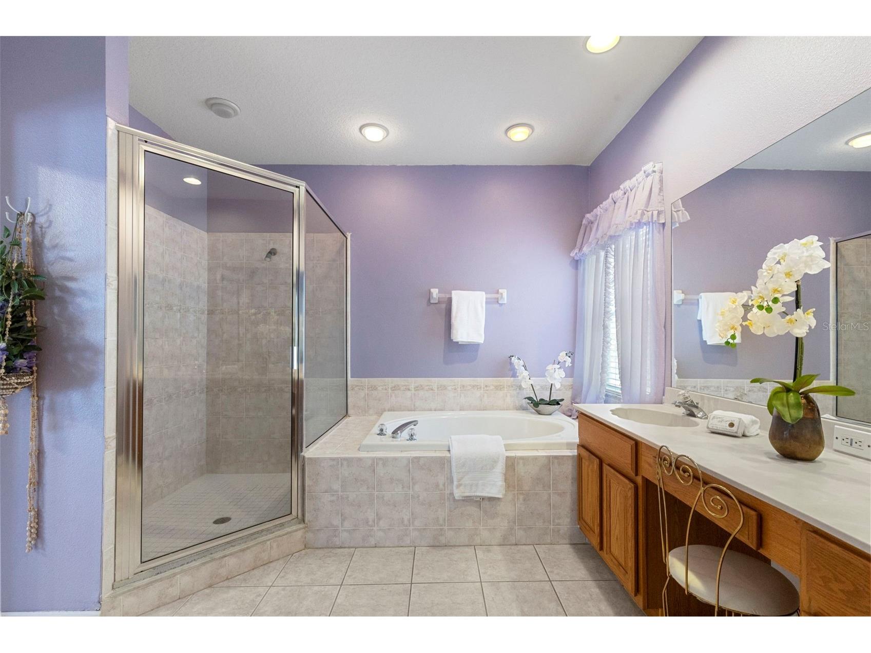 17823 Arbor Creek Drive Tampa FL 33647 TB8516964 image36