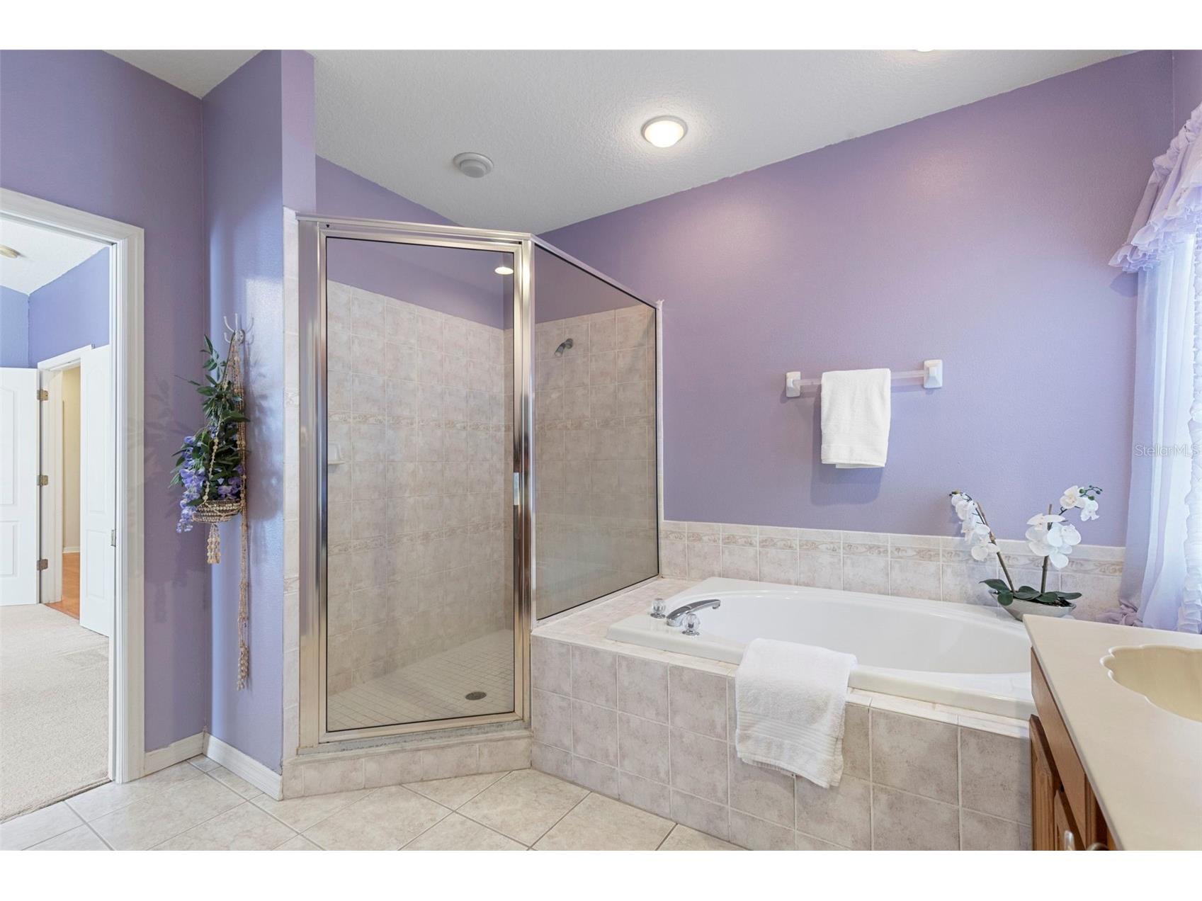 17823 Arbor Creek Drive Tampa FL 33647 TB8516964 image37