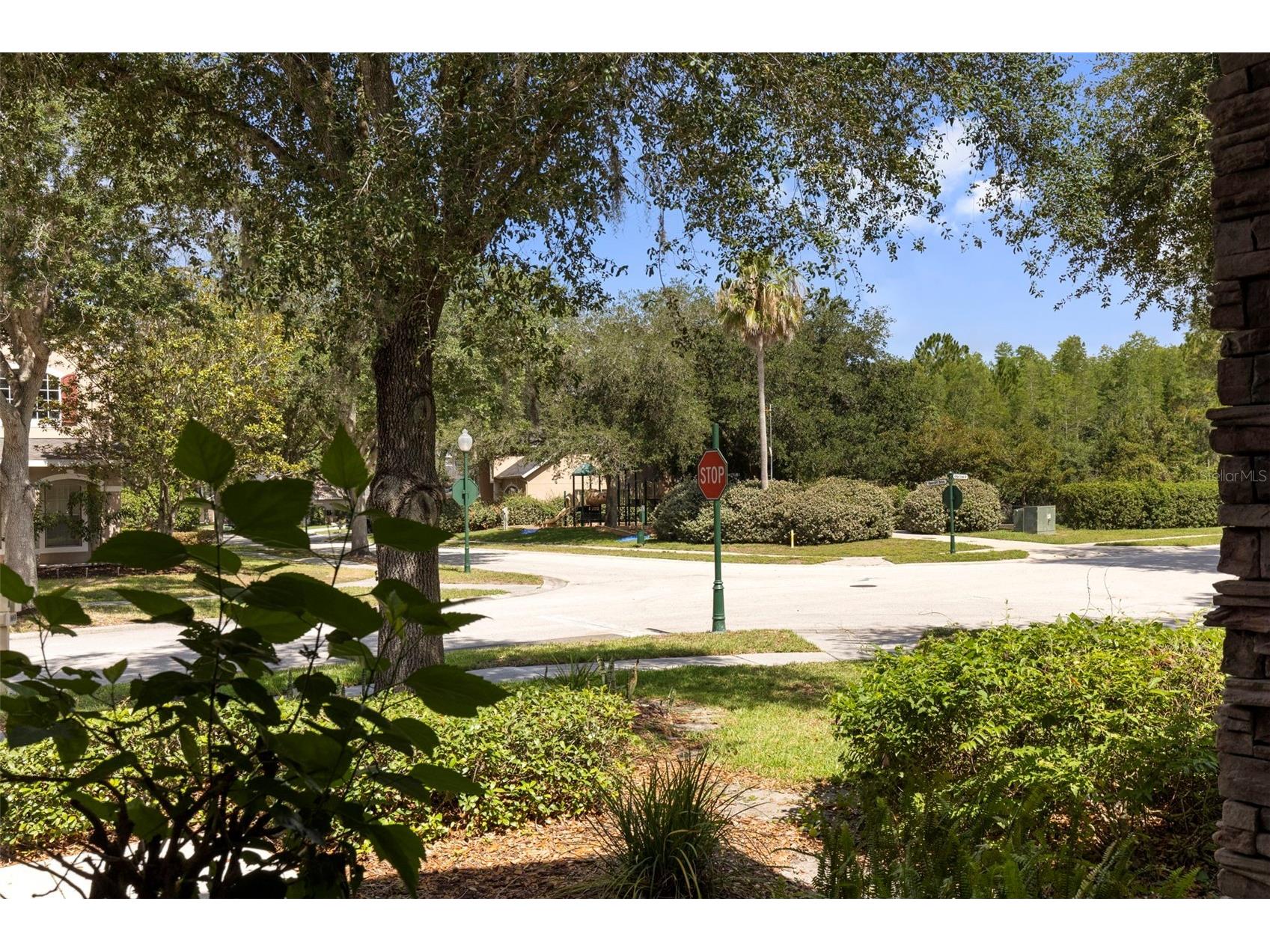 17823 Arbor Creek Drive Tampa FL 33647 TB8516964 image68