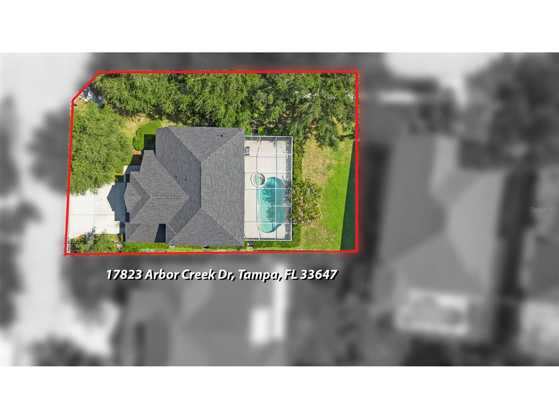 17823 Arbor Creek Drive Tampa FL 33647 TB8516964 image70