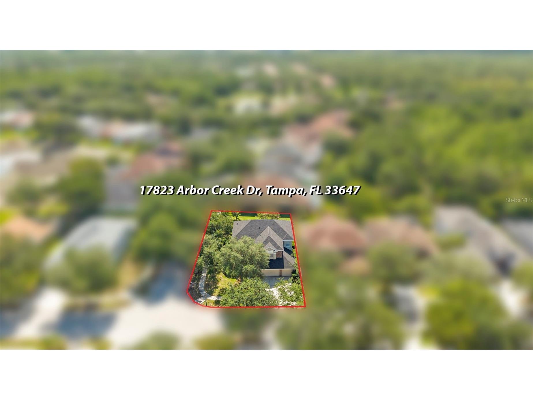 17823 Arbor Creek Drive Tampa FL 33647 TB8516964 image73