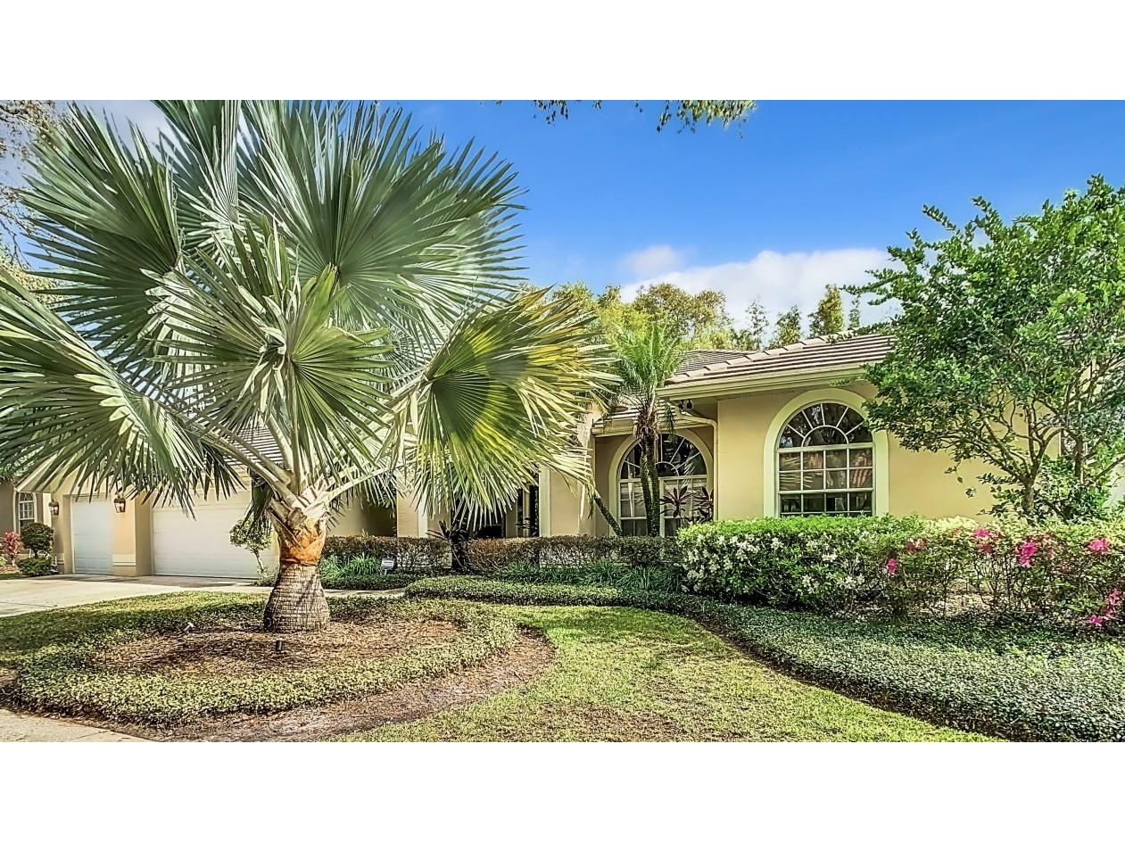 17823 Osprey Pointe Place Tampa FL 33647 O6185409 image1