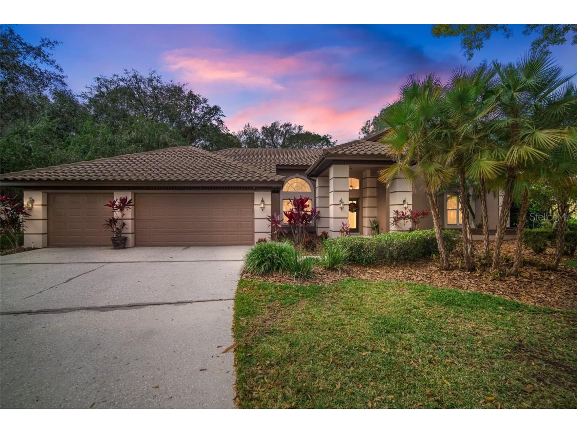 17824 Grey Brooke Drive Tampa FL 33647 T3500087 image1