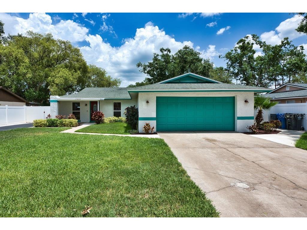 17824 Morninghigh Drive Lutz FL 33549 TB8395699 image1