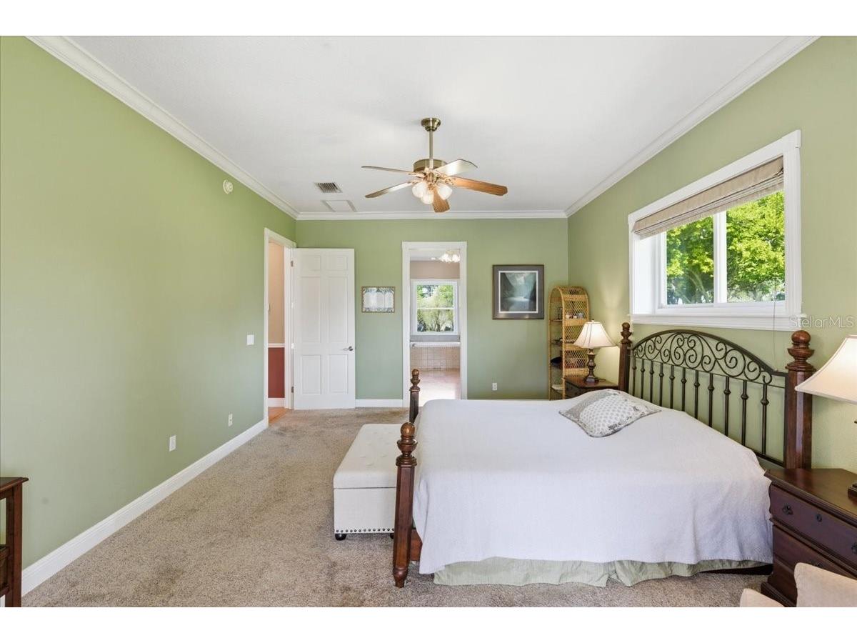 17825 Simms Road Odessa FL 33556 TB8501707 image16